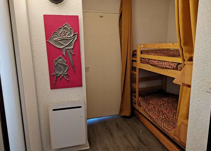 4 Pers - Pied Des Pistes - Parking - Animaux Autorises - Fr-1-404-50